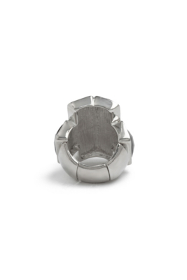 269100G21-SLV-ALT2