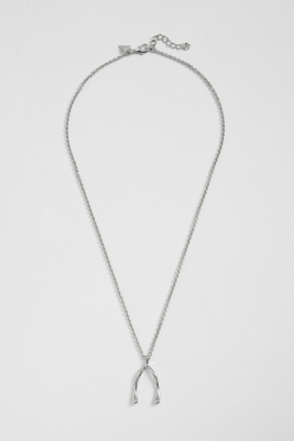 47316540-SILV