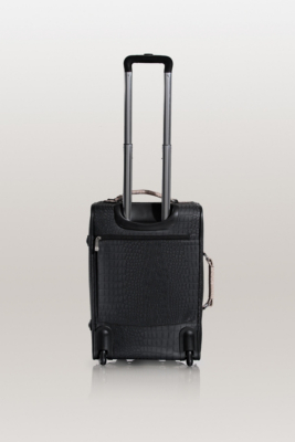 F3464920-BML-ALT1