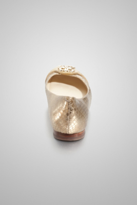 GWGORDONIA2-BROLL-ALT2