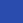 wild blue