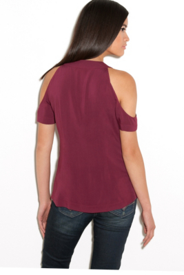 R23H0500000-MIWN-ALT1