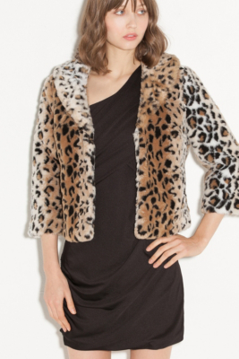 RP24L010000-ANPR-ALT2