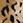 animal print