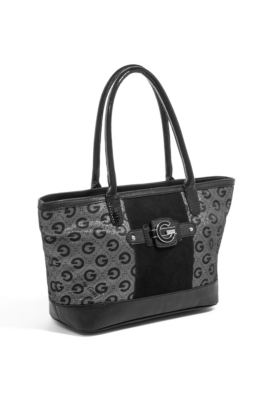 SI191324-COAL-ALT1