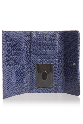 SI204651-BLUE-ALT1