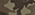 military camo