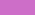 african violet multi