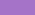 AFRICAN VIOLET