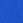 wild blue
