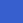 wild blue
