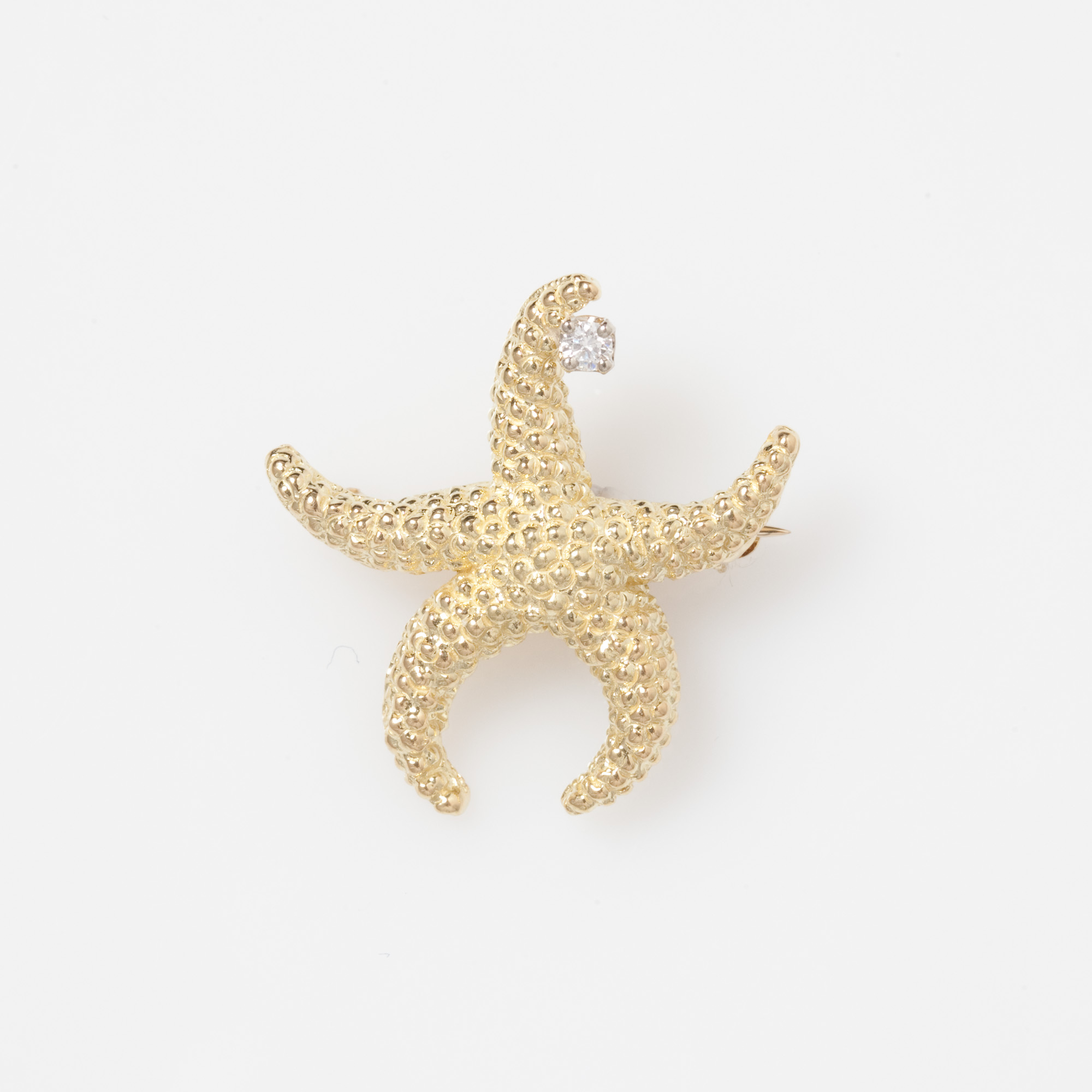 Starfish Brooch