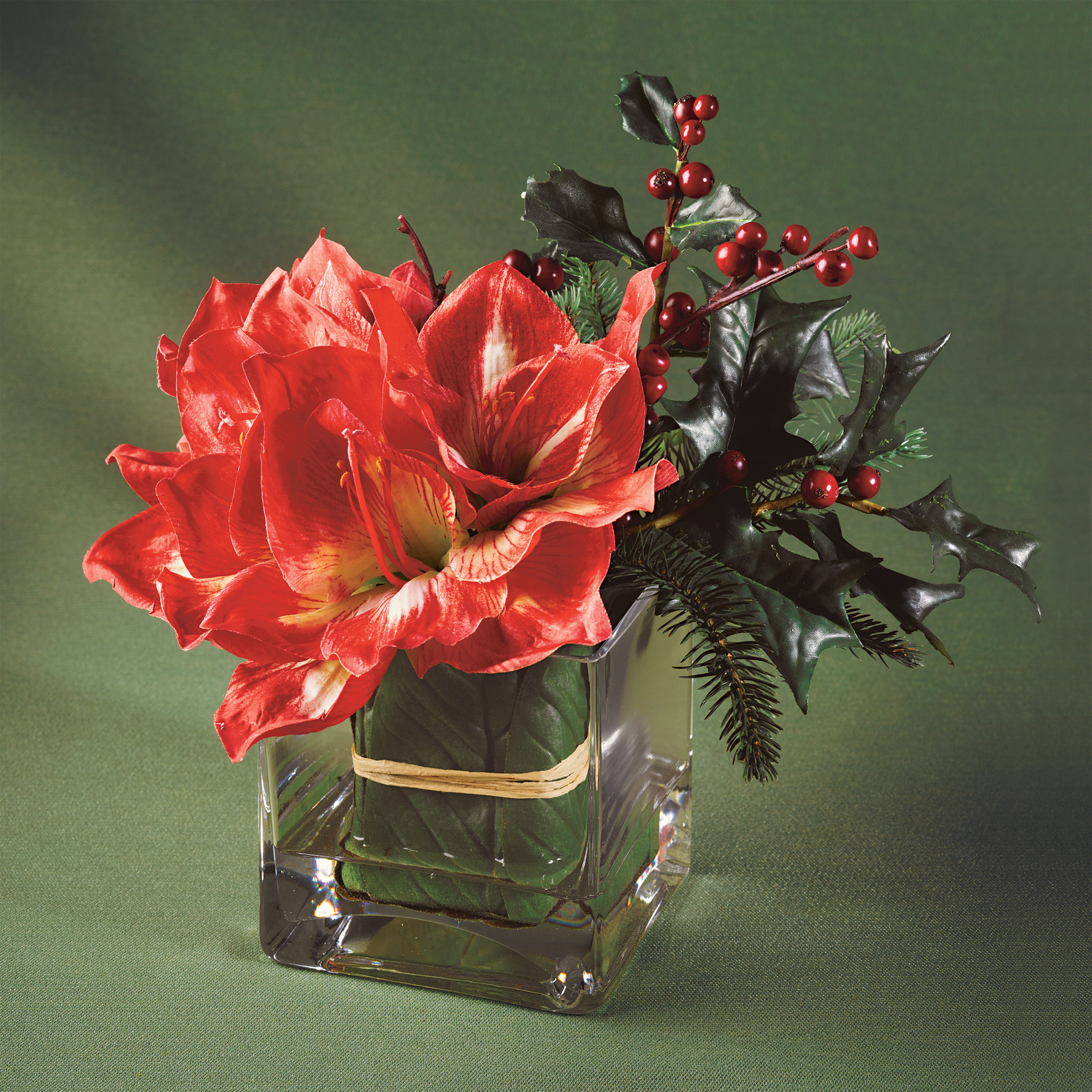 AMARYLLIS STRIPE W/ HOLLY ARRANGEMENT