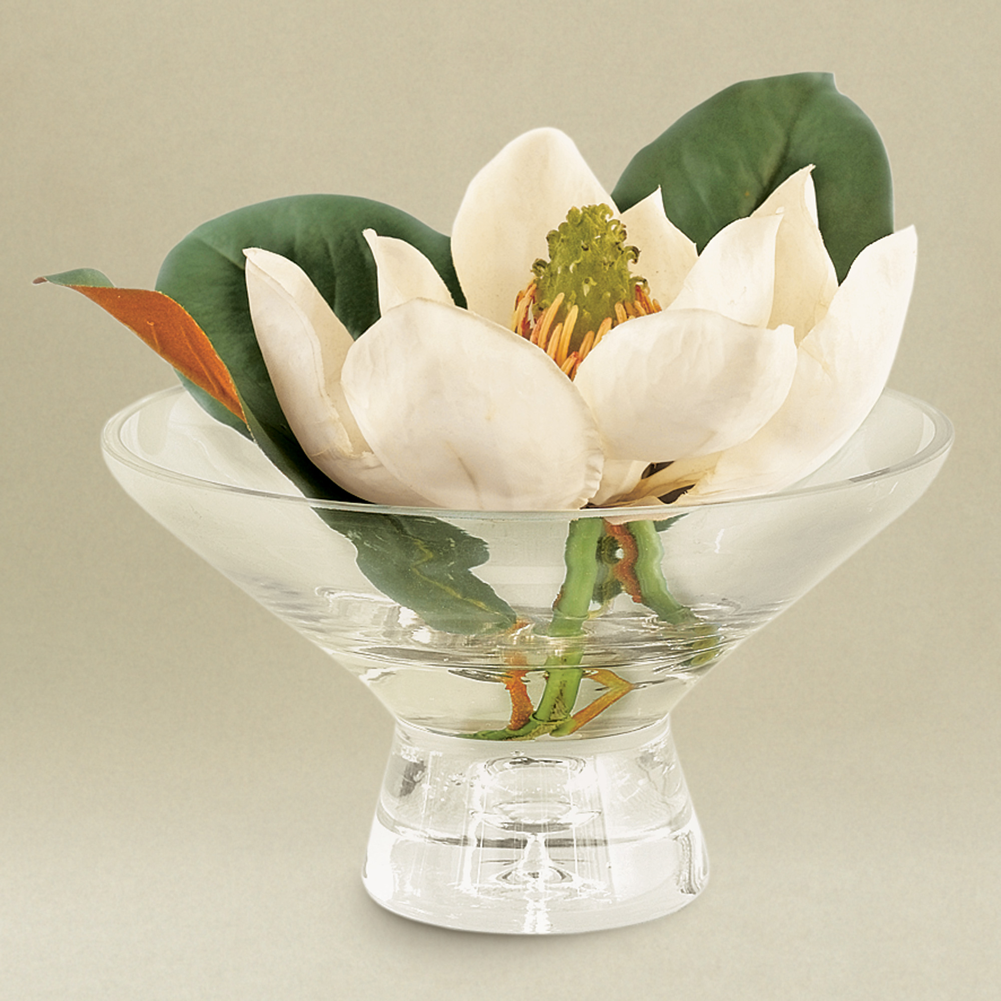 Floating Magnolia Blossom
