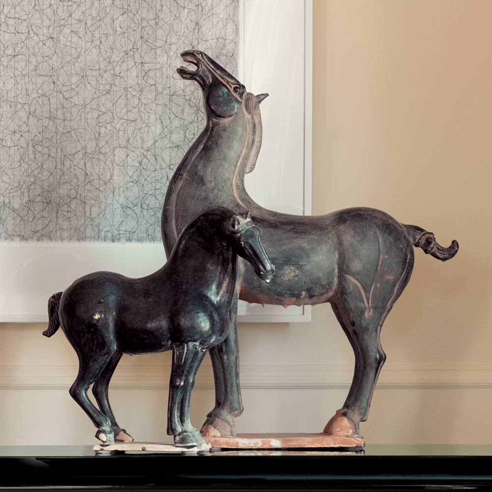 BLACK STALLION MED