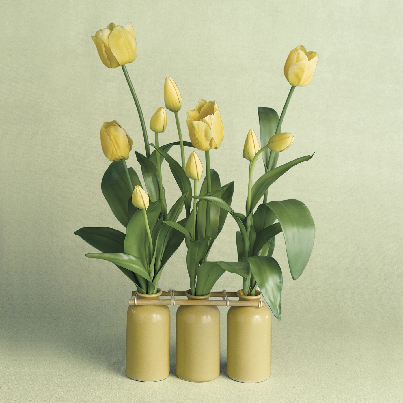 TULIPS IN TRIPLE GREEN BOTTLE VASES
