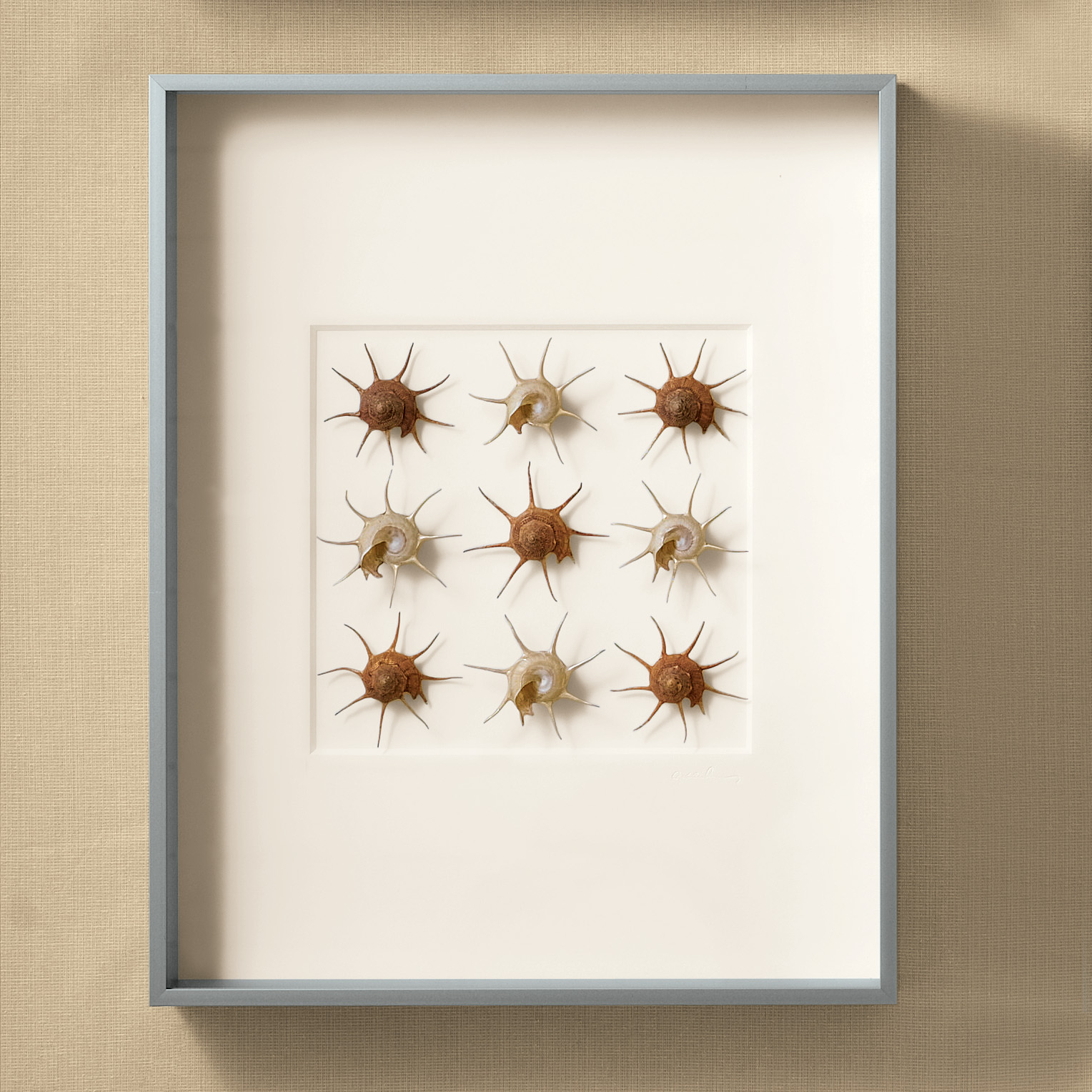 GILDED STARSHELLS