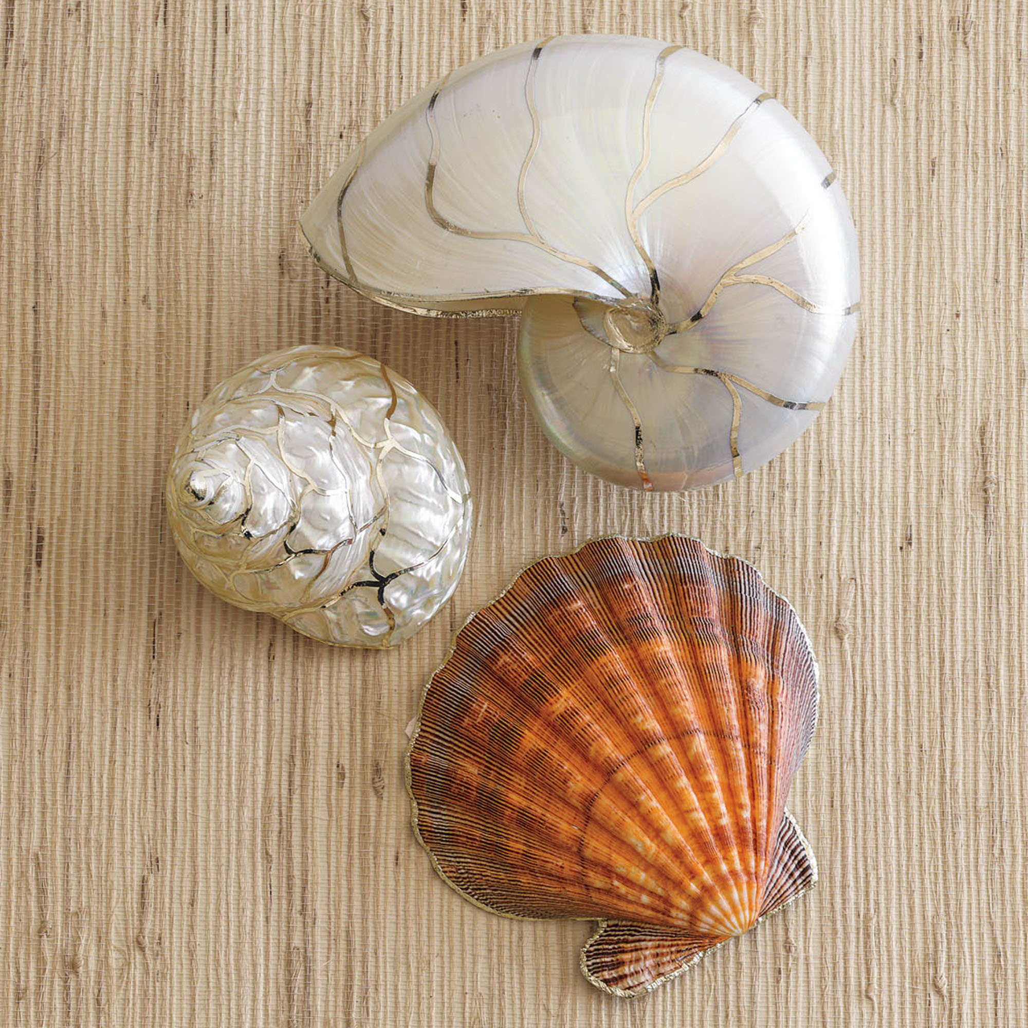 S/3 SILVER-EDGED SEASHELLS