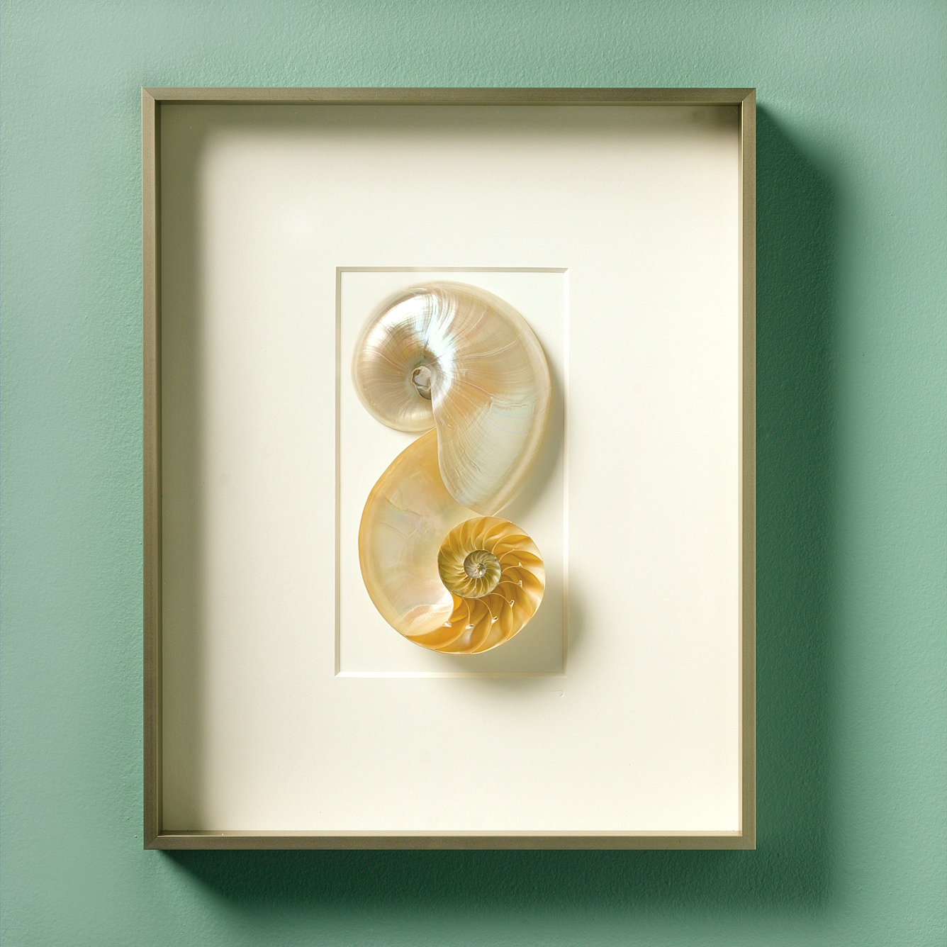 NAUTILUS - FRAMED 16X20
