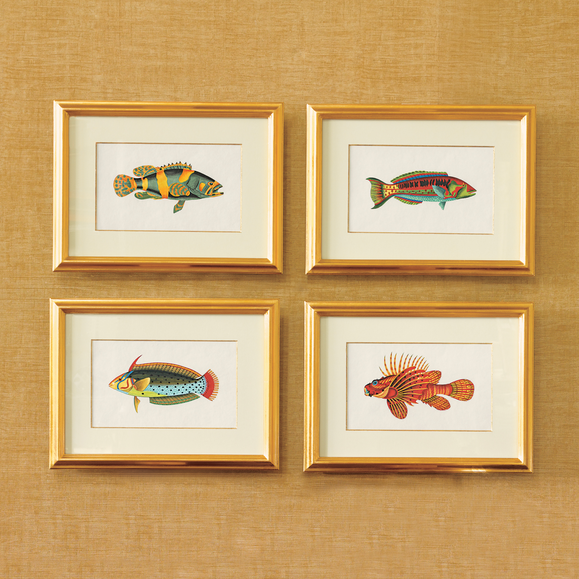 SERRANIDAE BLK/YLW  FISH WTRCOLOR 2