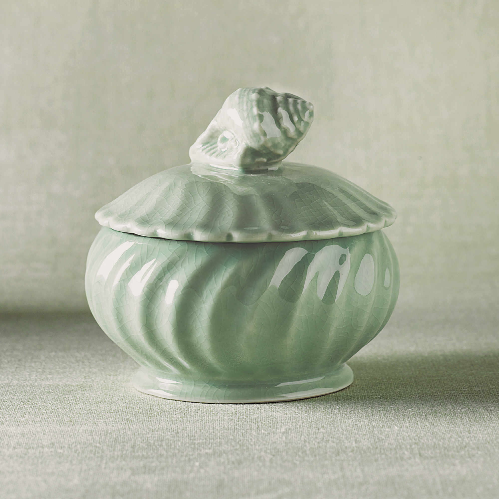 CELADON NAUTILUS BOX