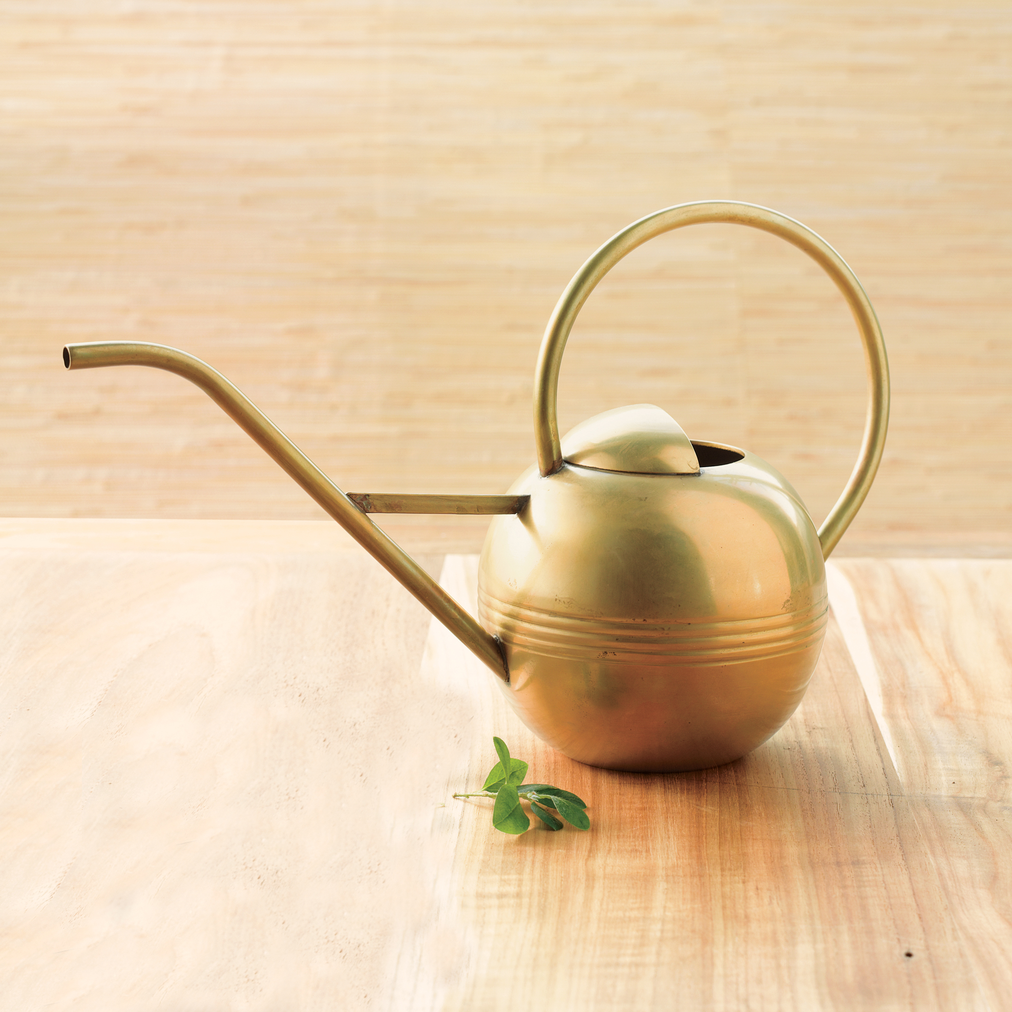 ORCHID WATERING CAN
