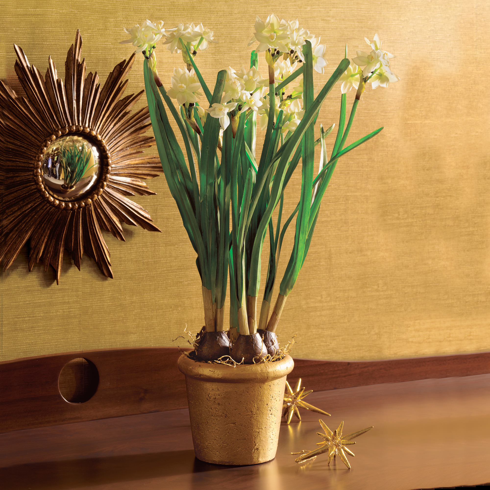PAPERWHITES IN GOLD POT