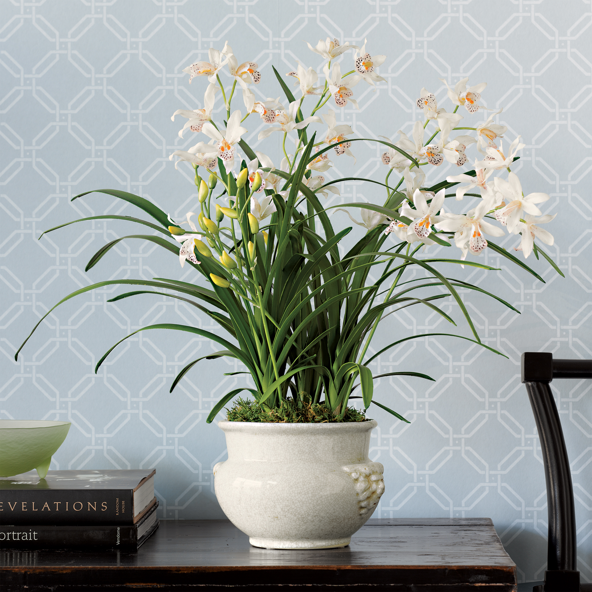 WHITE CYMBIDIUM ORCHID IN LION HEAD POT