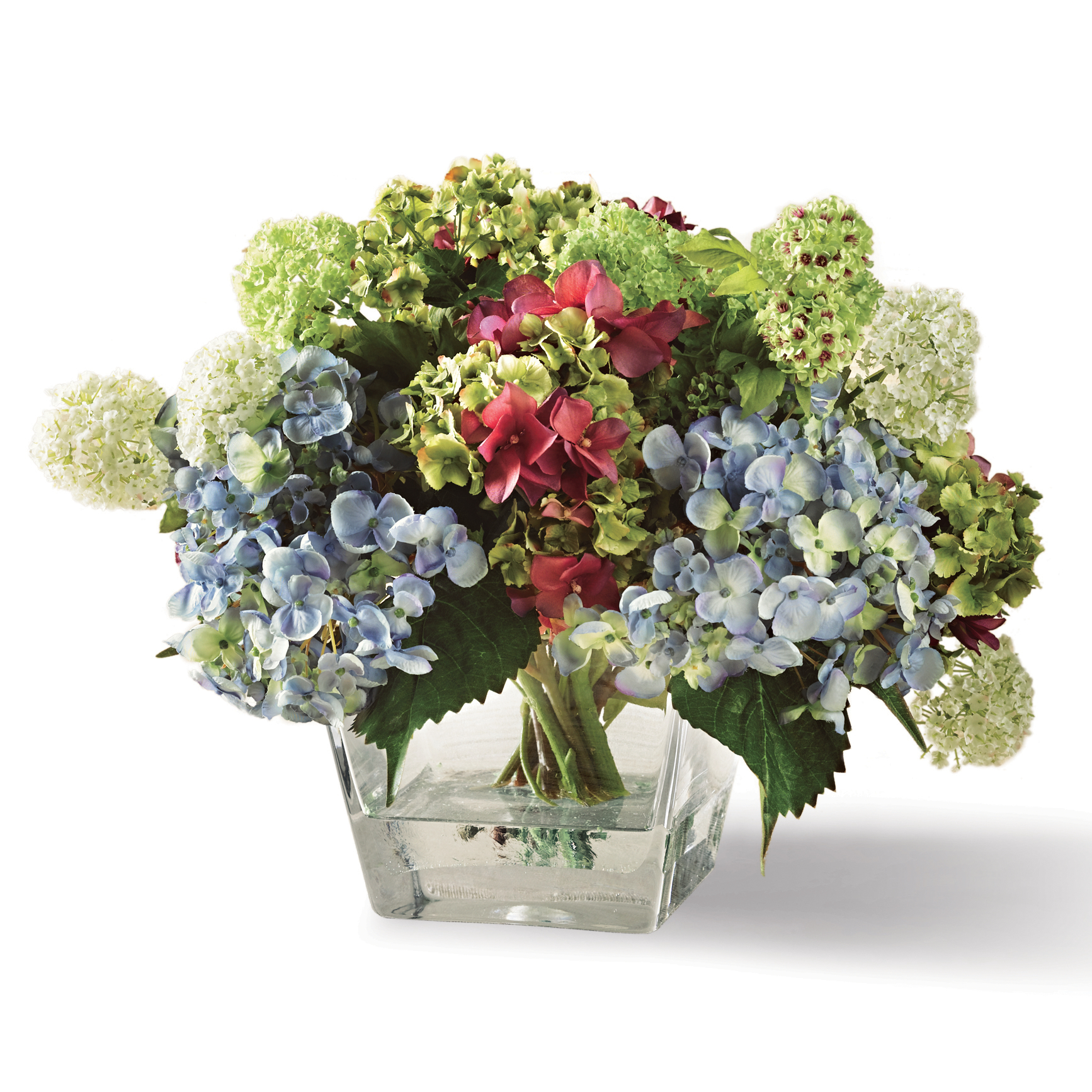 HYDRANGEA IN SQUARE VASE
