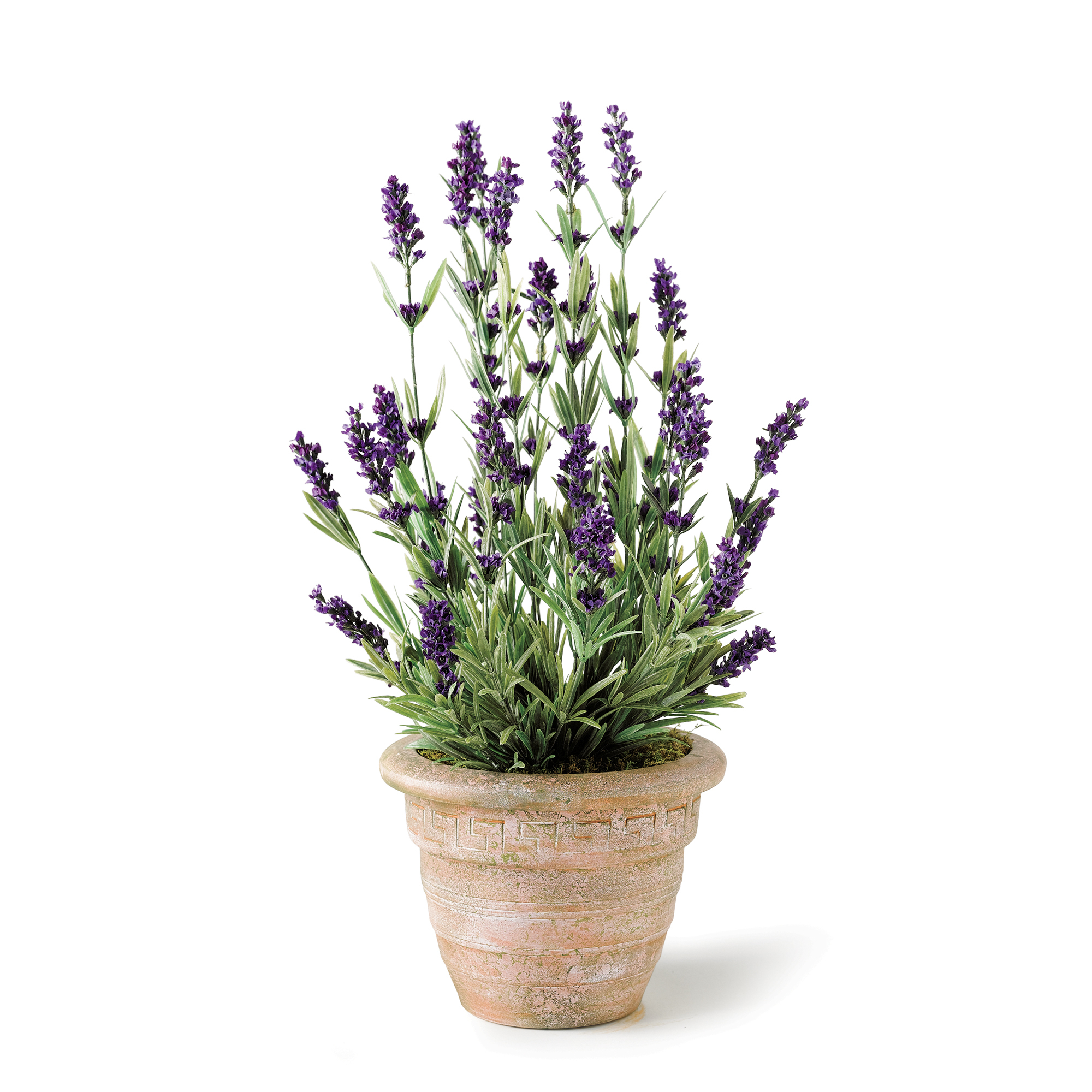 FAUX LAVENDER IN CAMPAGNA POT