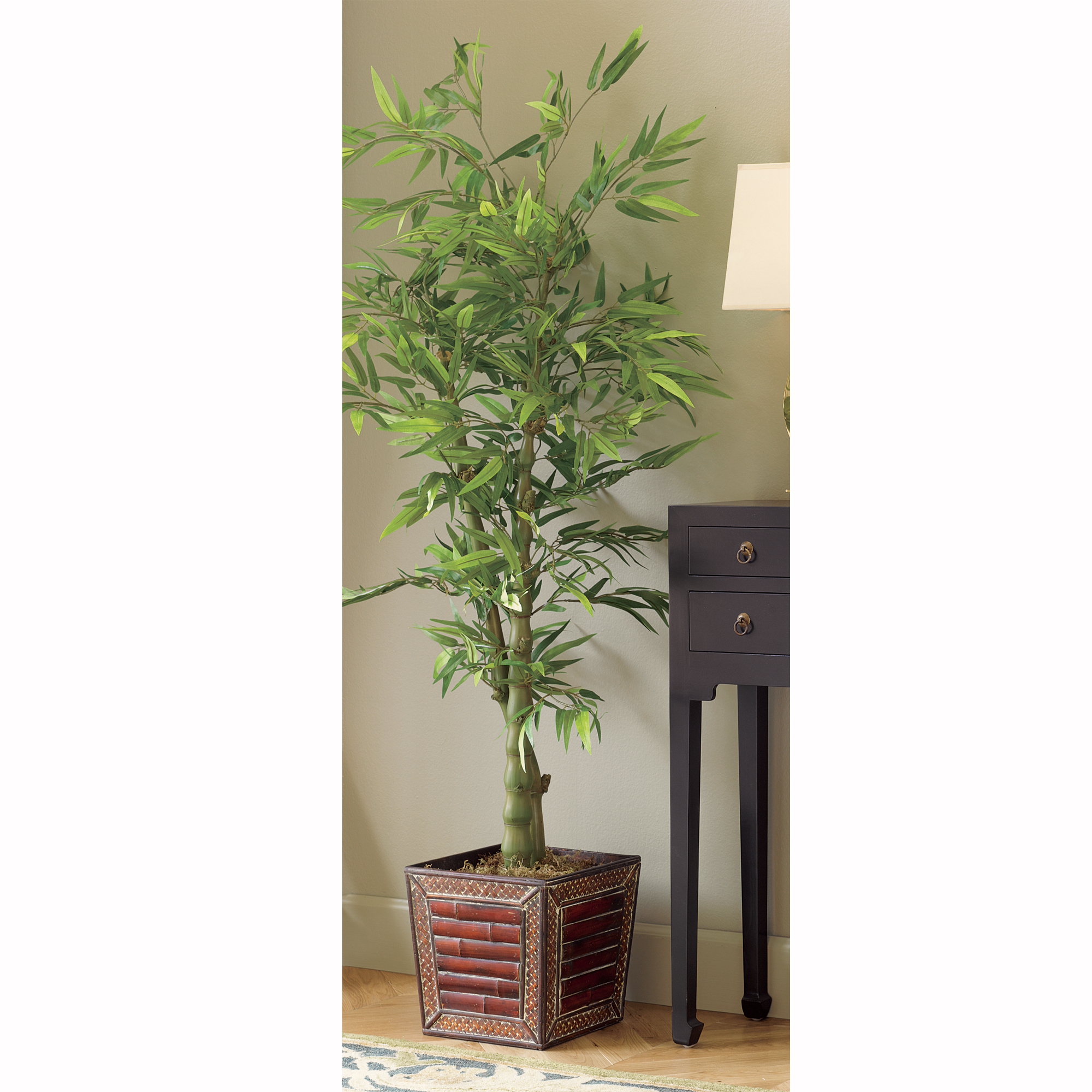 5FT CHINESE BAMBOO PLANT