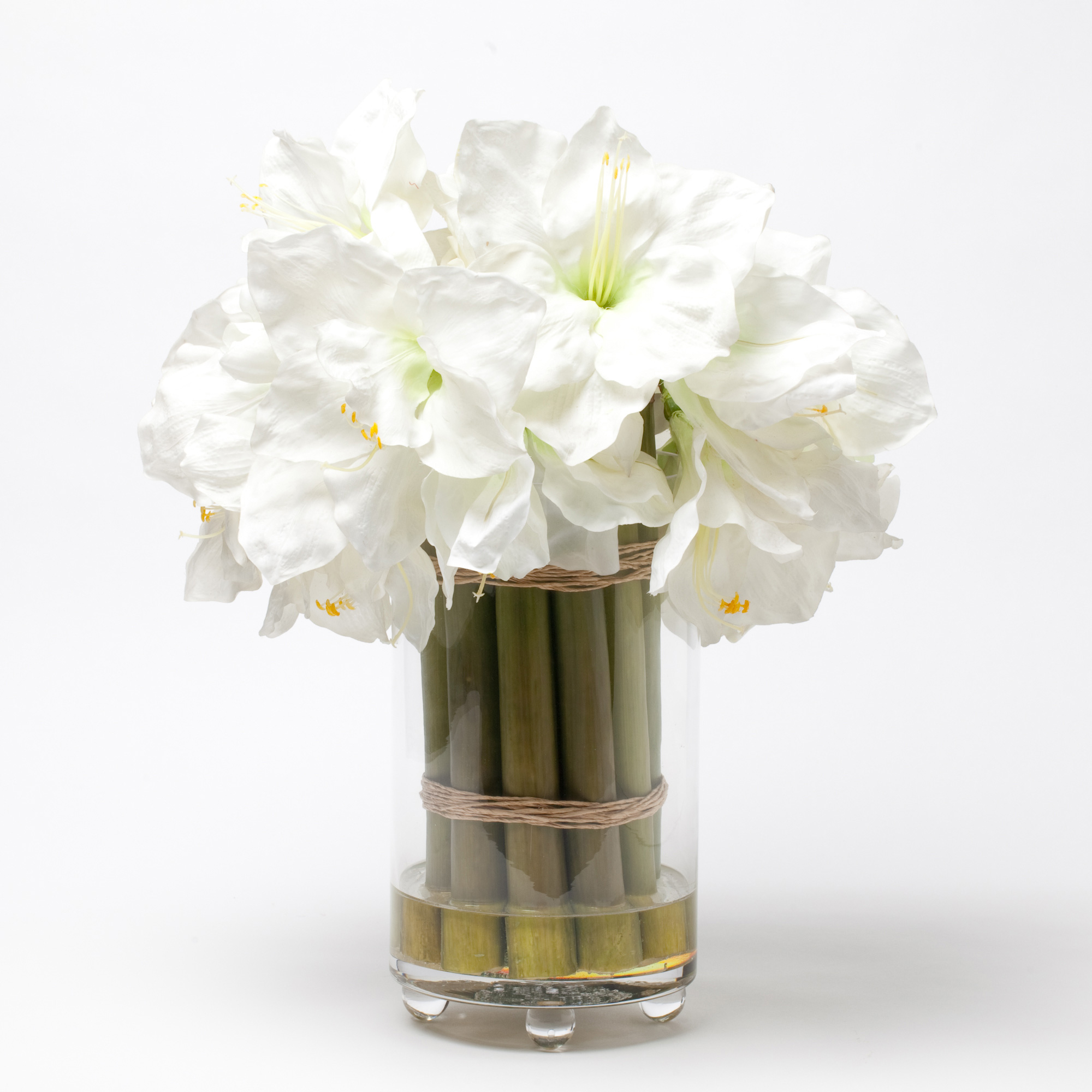 WHITE AMARYLLIS IN CYLINDER VASE 20 IN