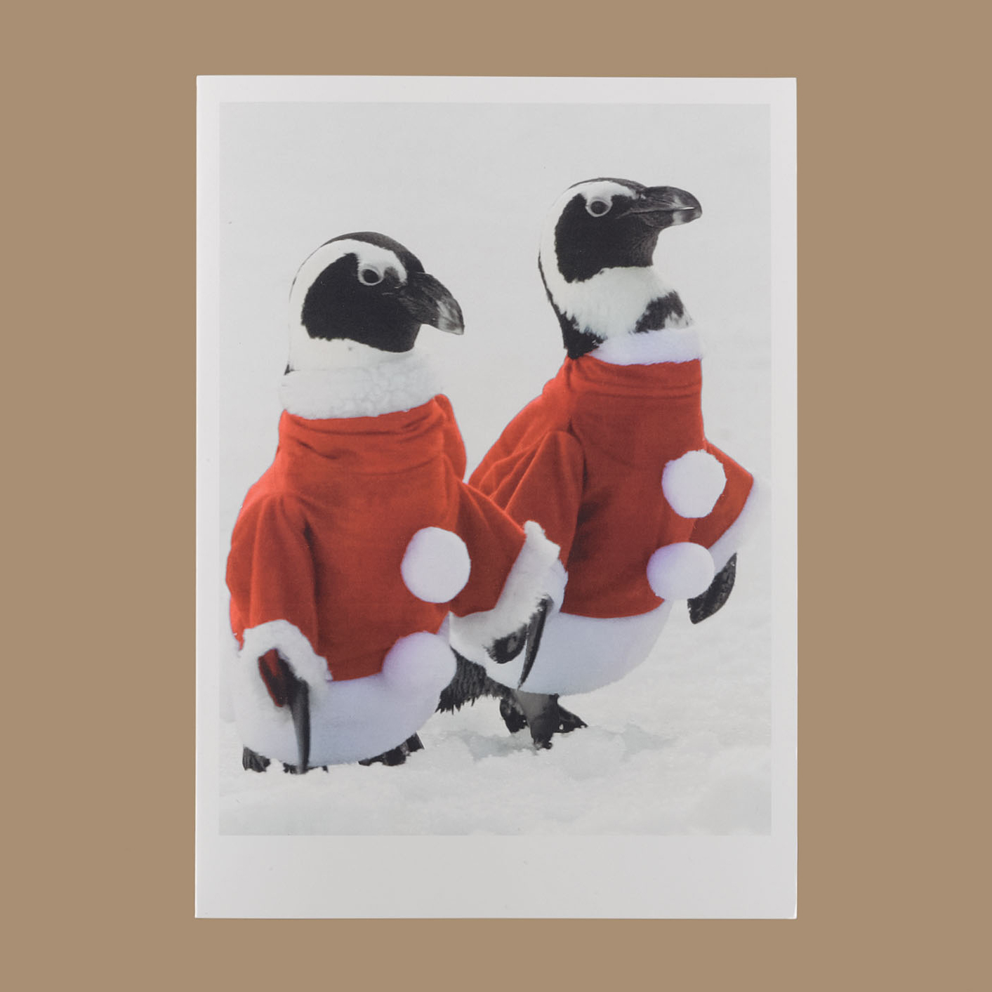 Santa Penguin Cards