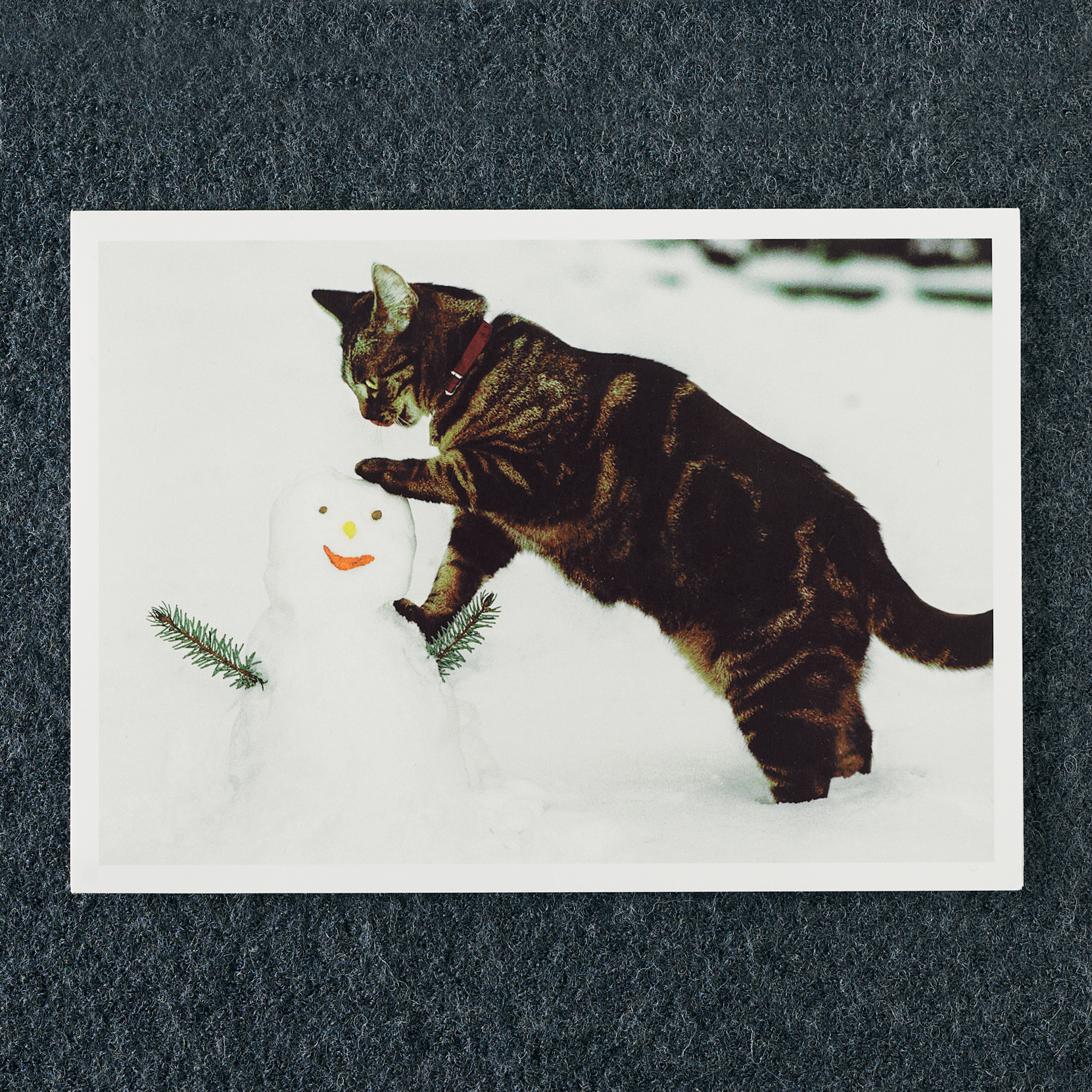 Cat and Snowman Holiday Cards                   
