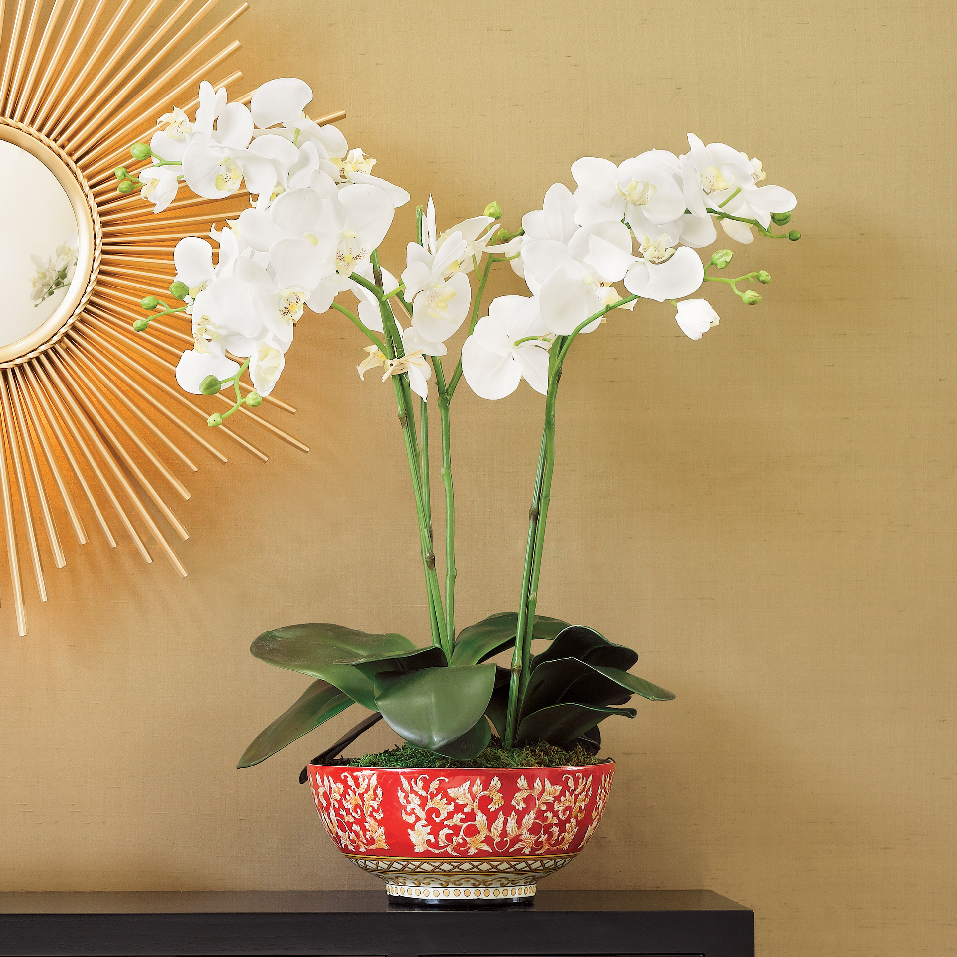WHITE ORCHID IN RED AND WHITE BOWL