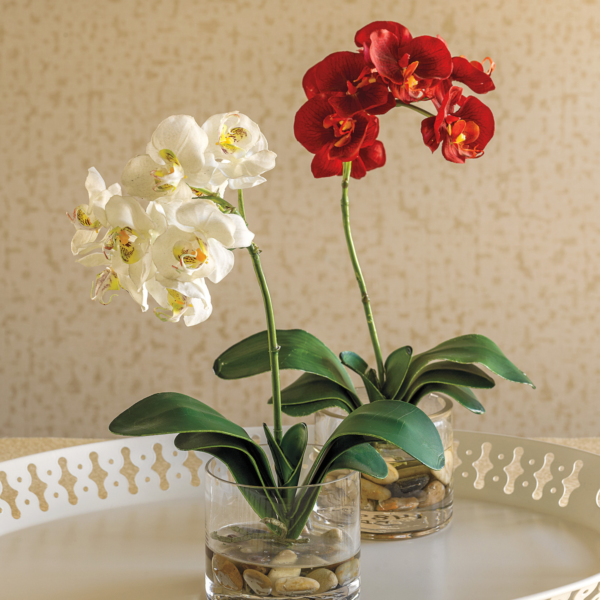 ORCHID IN CLEAR VASE