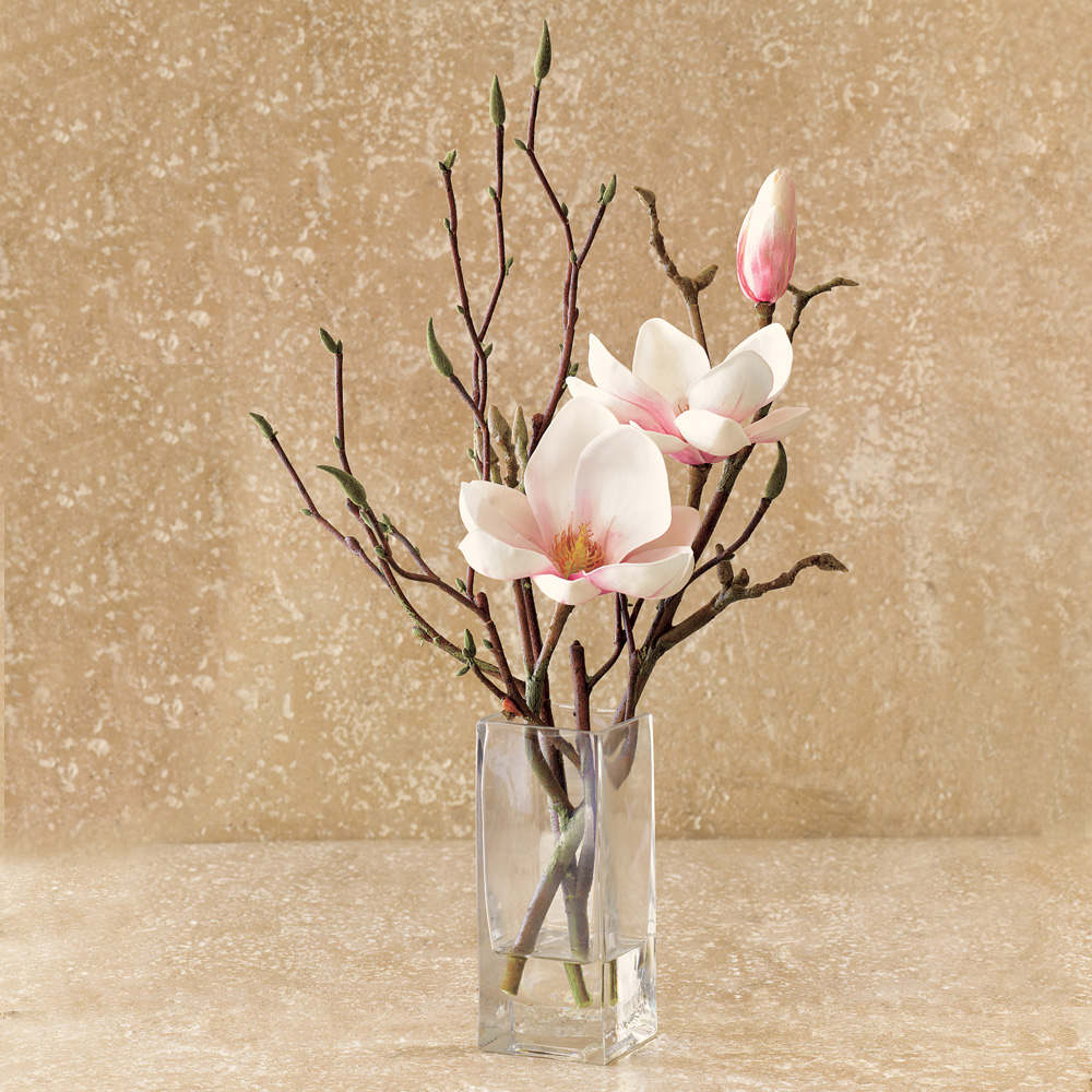 Magnolia Branch in Vase 