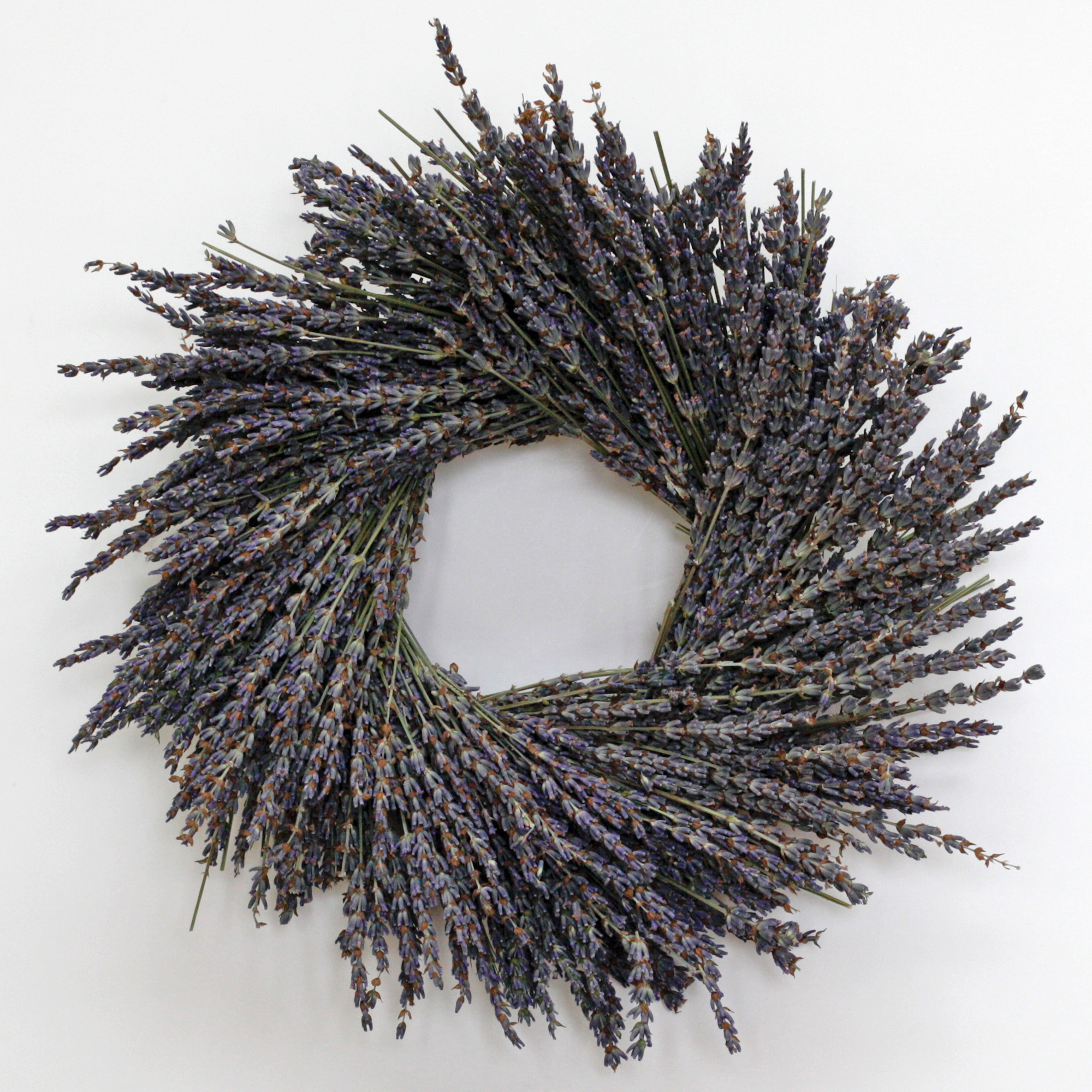 LAVENDER WREATH 14 INCHES
