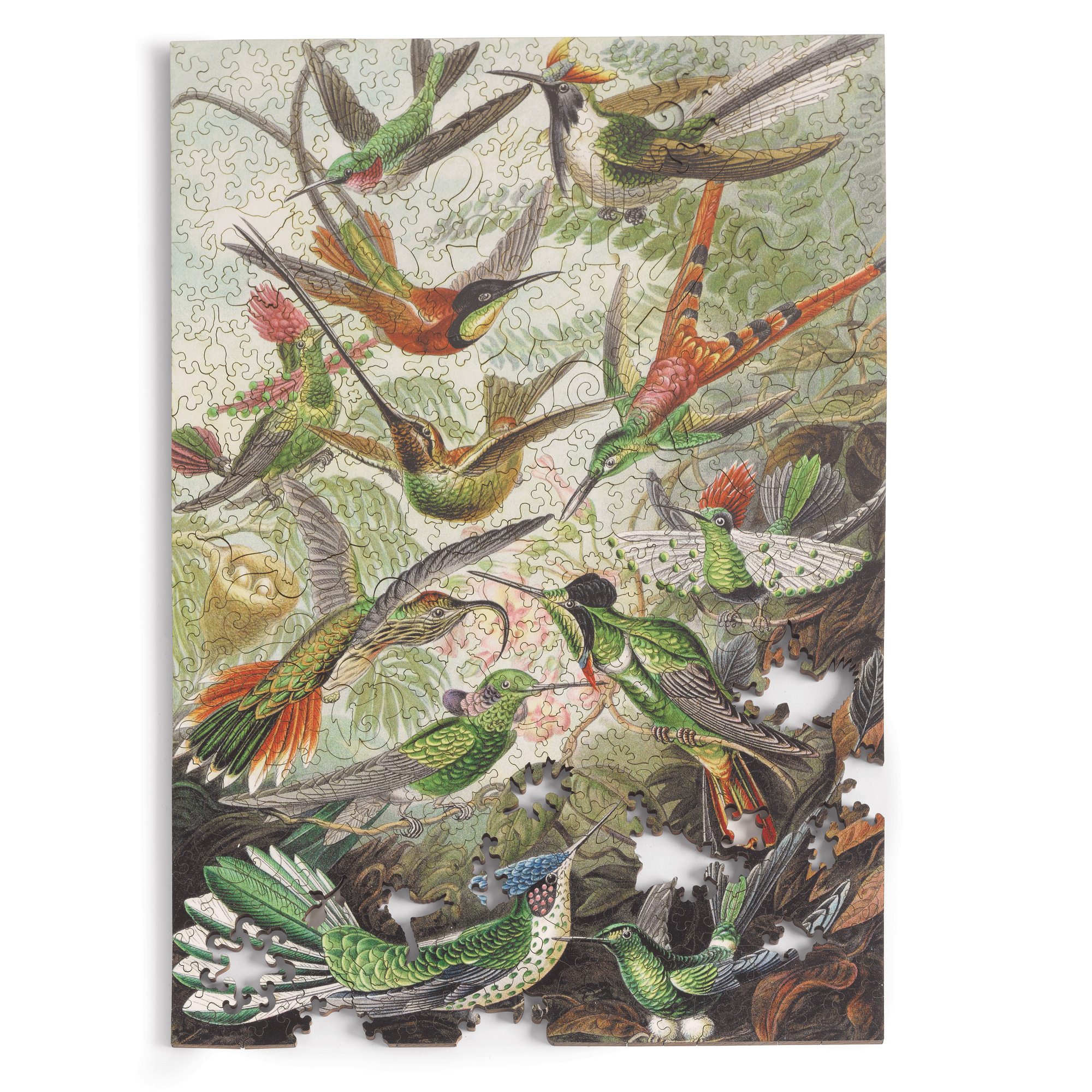 Woodcut Hummingbird Puzzle
