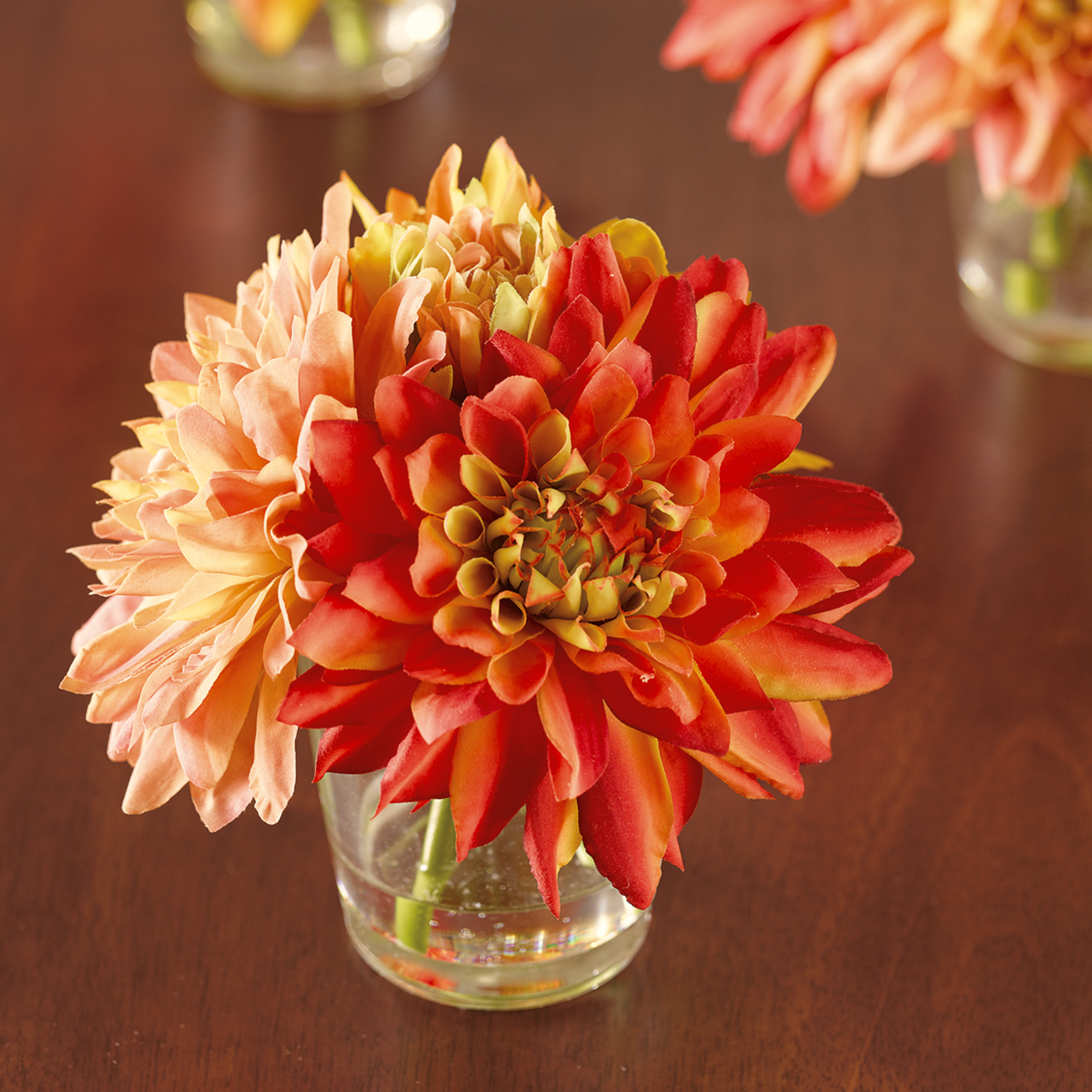 Dahlia Arrangement