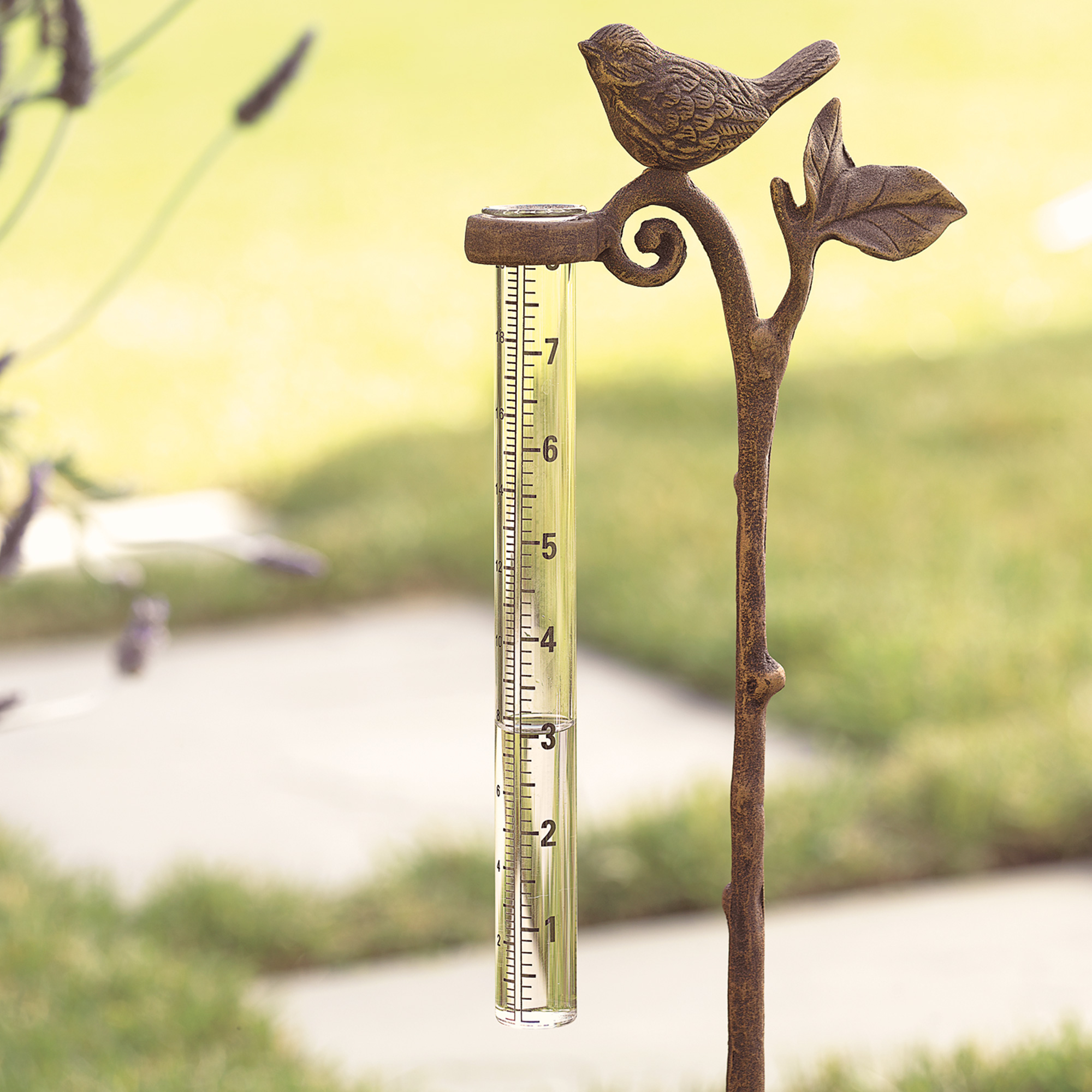 Garden Rain Gauge