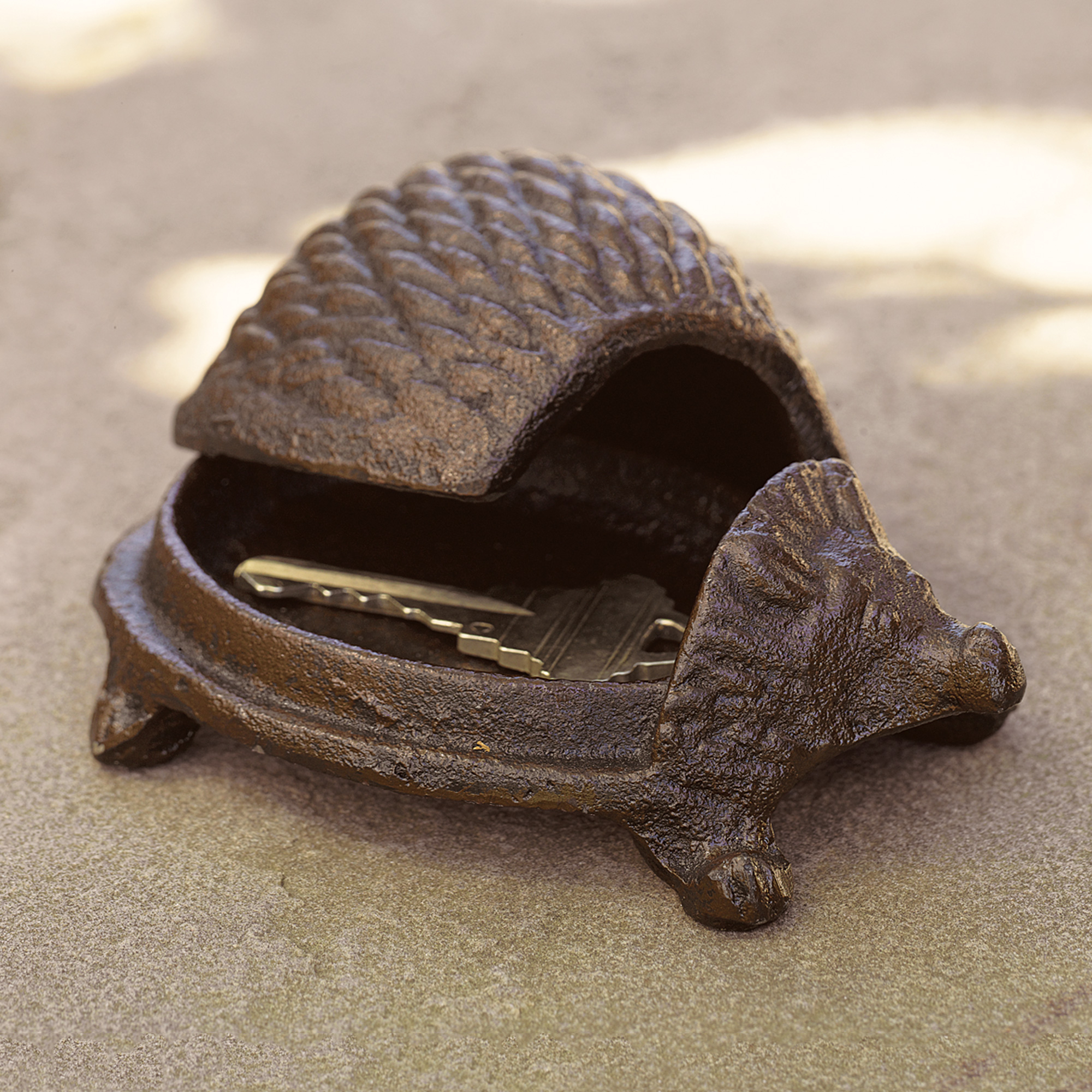 Hedgehog Hide-A-Key