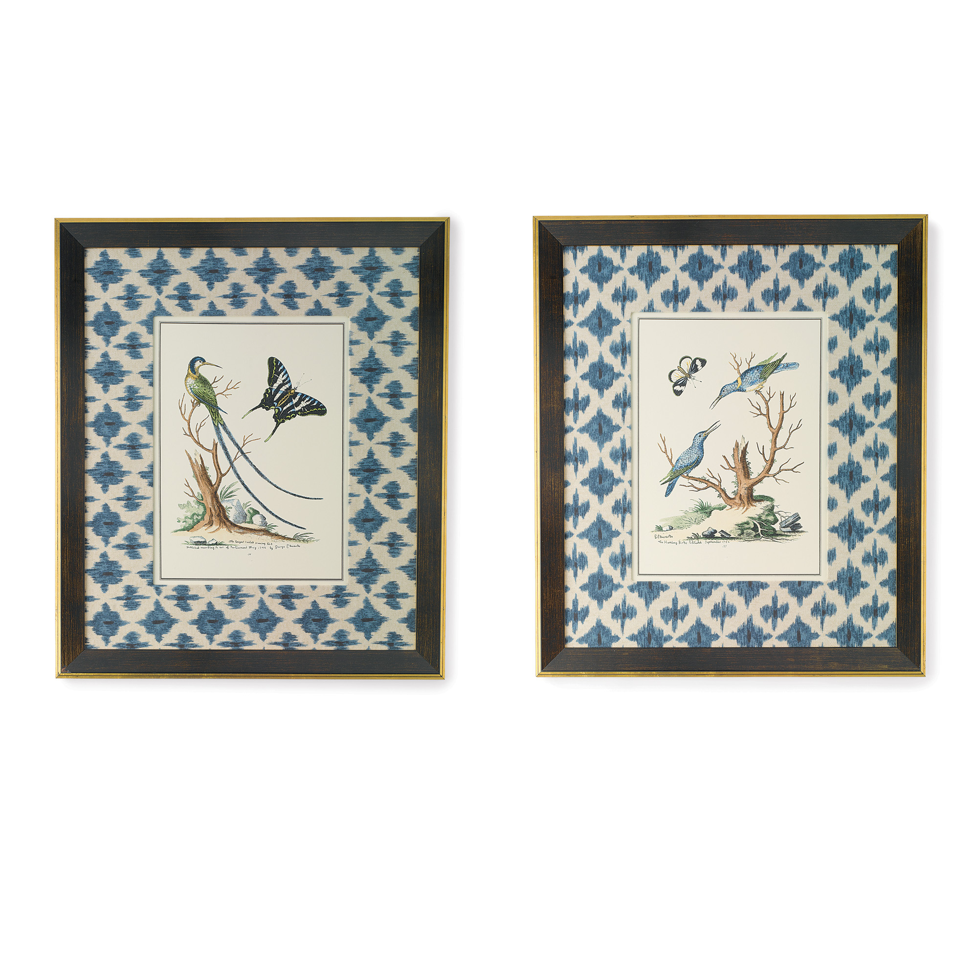 Handcolored Long-Tail Hummingbird Print (shown left)