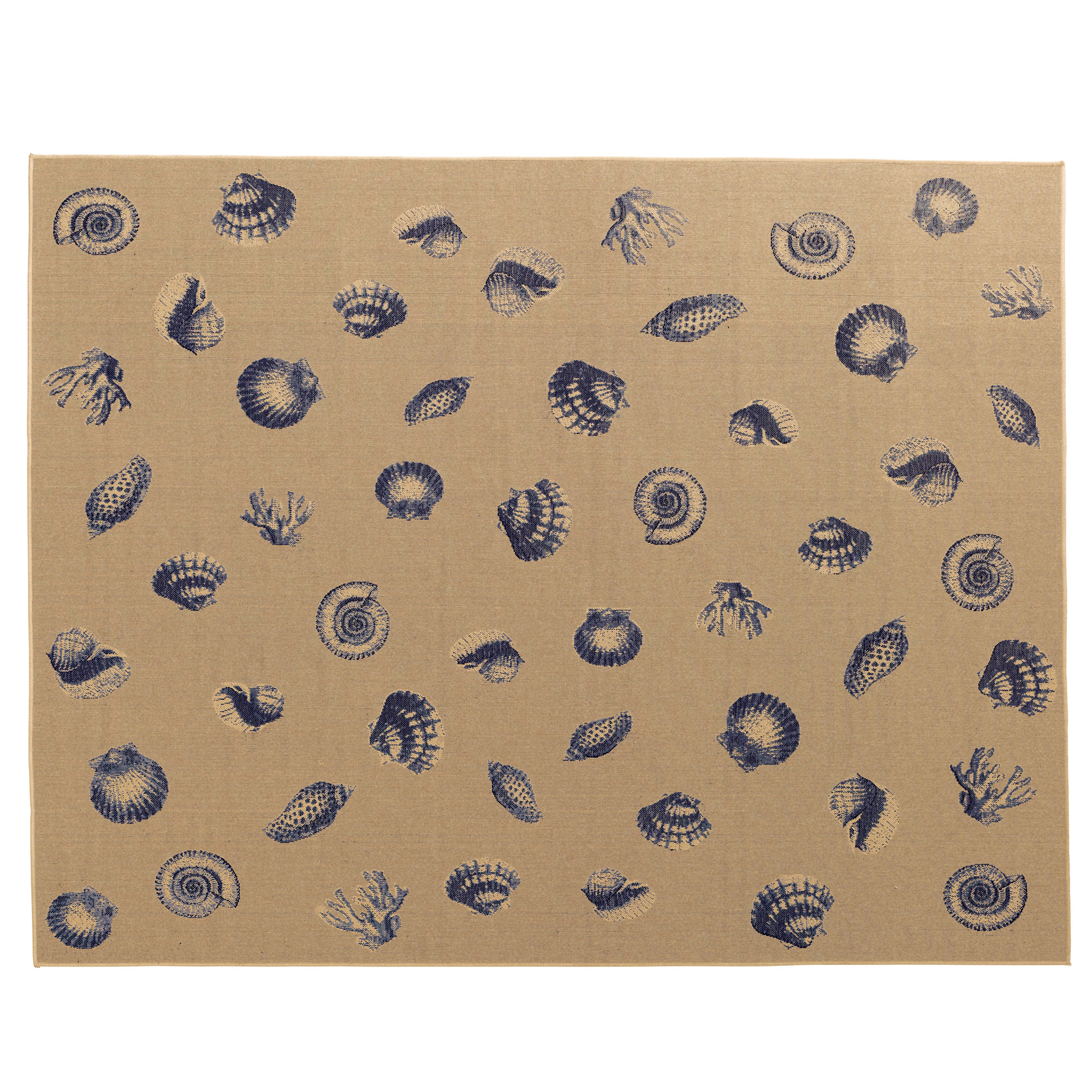 Scattered Seashells 2 ’ x 3 ’