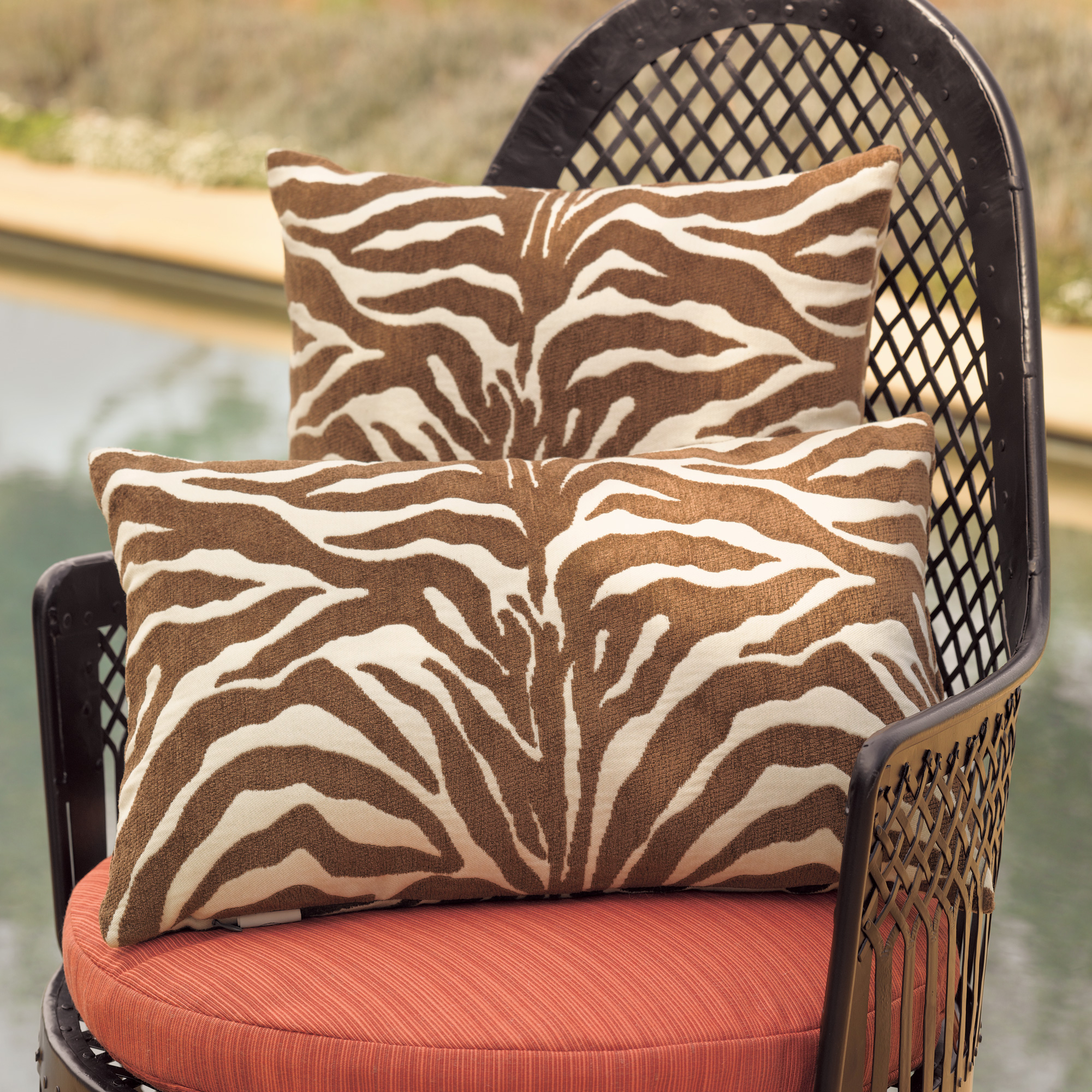 ZEBRA PILLOW SQUARE