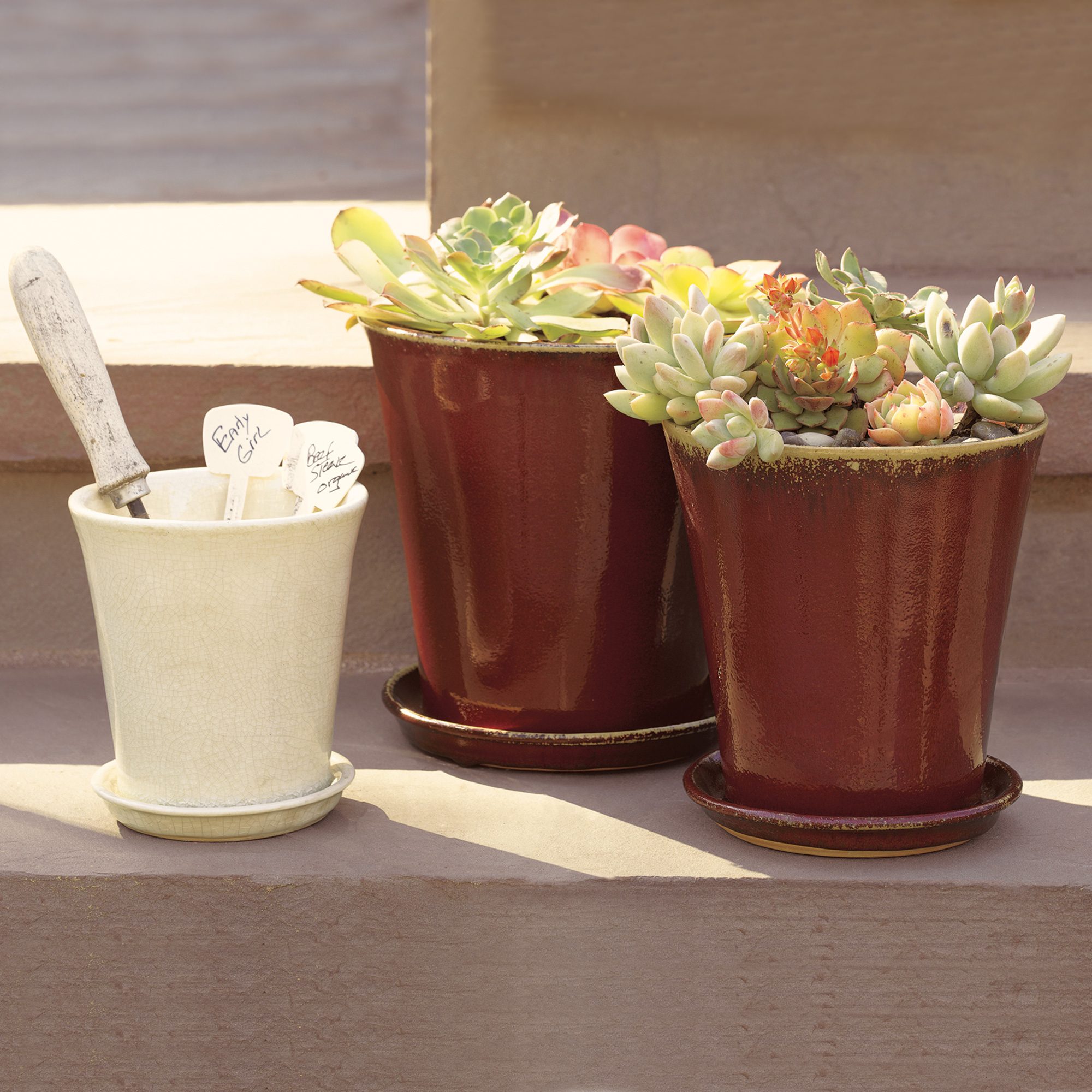 Ceramic Planters