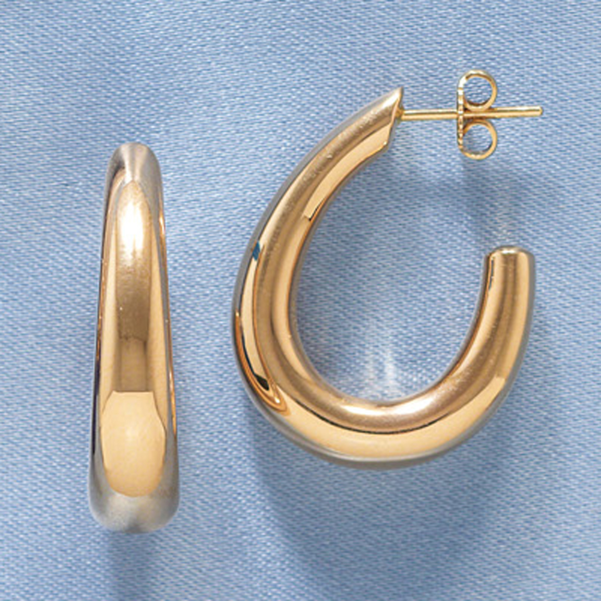 Horseshoe Hoop Earrings