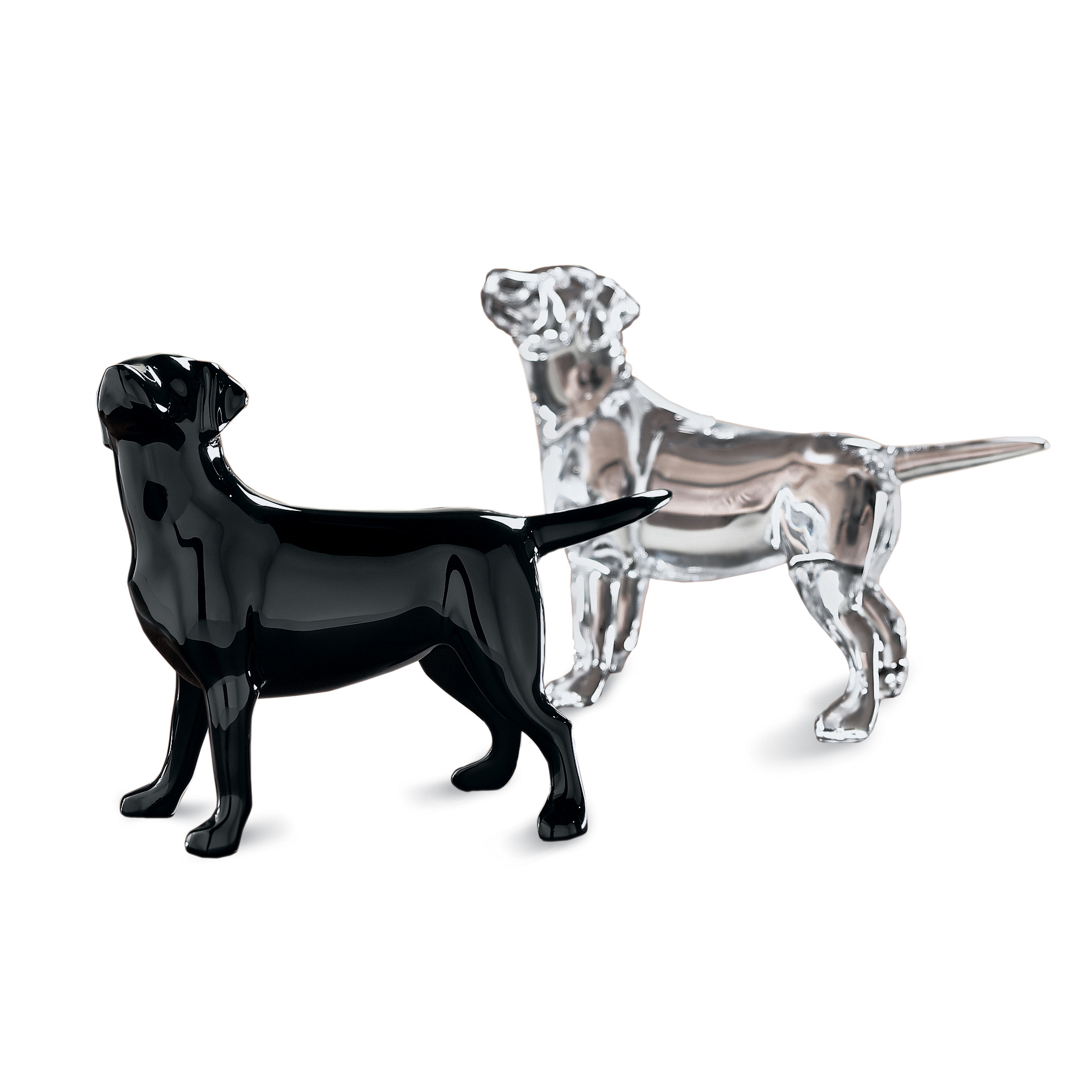 BLACK BACCARAT LABRADOR