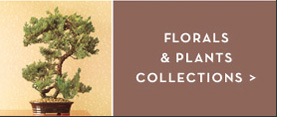 Faux Floral Living Plants