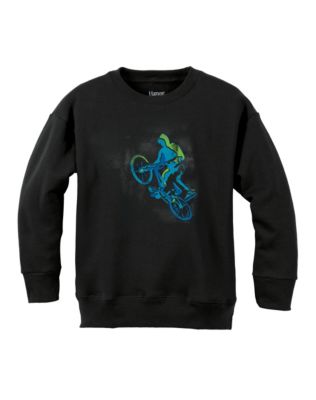 Hanes EcoSmart® Boys' Graphic Crew Sweatshirt